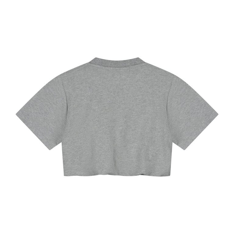 charlie petite Charlie petite - Sanne T-Shirt grey