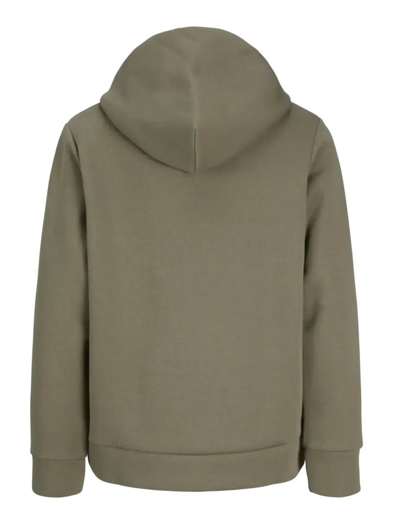 jack&jones Barron - Sweat hoodie Vetiver