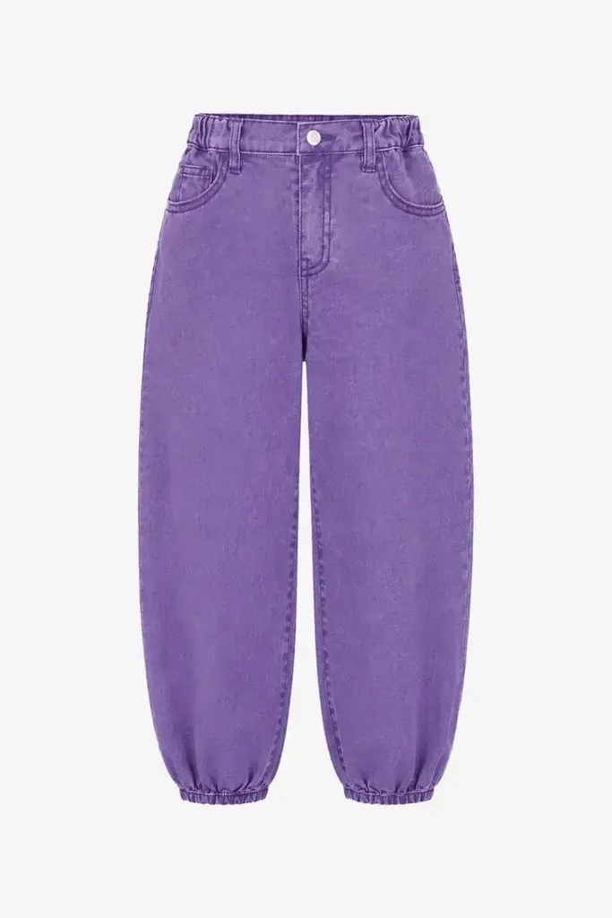 The New Chapter The new chapter -PANTS PURPLE BOLD COLORS