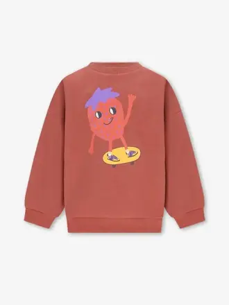 The New Chapter The New Chapter -BILLIE SWEATER BROWN BOLD COLORS