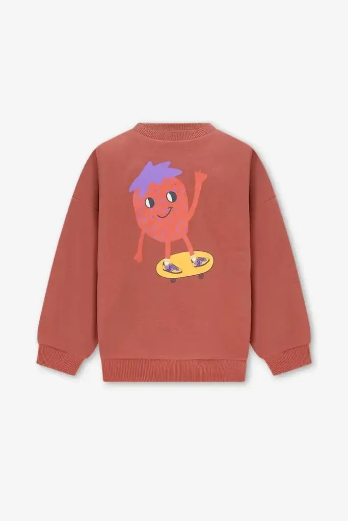The New Chapter The New Chapter -BILLIE SWEATER BROWN BOLD COLORS