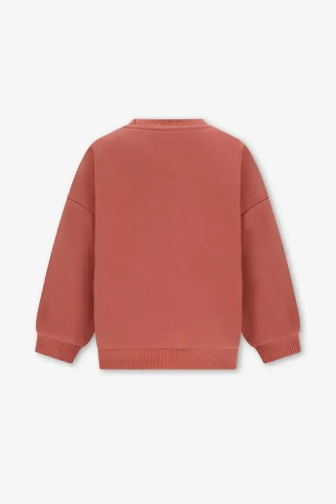 The New Chapter The New Chapter -BILLIE SWEATER BROWN BOLD COLORS