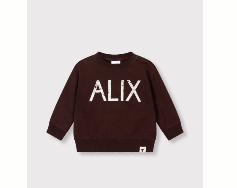Alix the label Alix mini - baby knitted world tour sweater warm brown