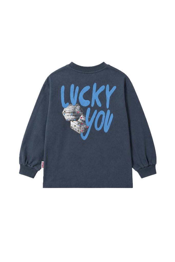 The New Chapter The New Chapter -  Lou long sleeve ombre blue