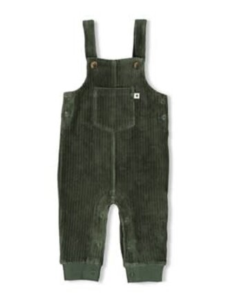 Feetje Feetje - tuinbroek groen rib