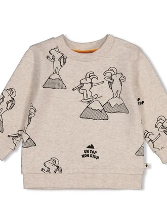 Feetje Feetje - sweater mountain on top
