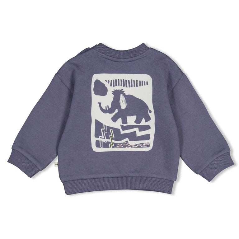 Feetje Feetje - sweater grijs mountain