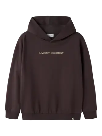Name It Name it - Moak hoodie Chocolate Plum