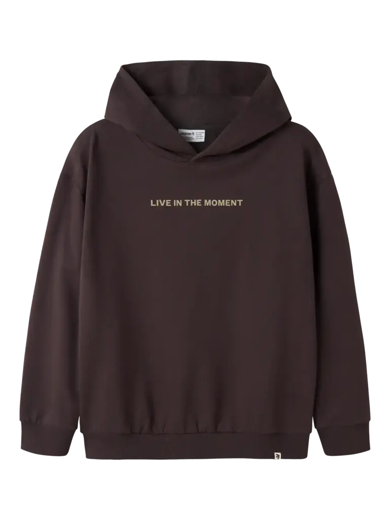 Name It Name it - Moak hoodie Chocolate Plum