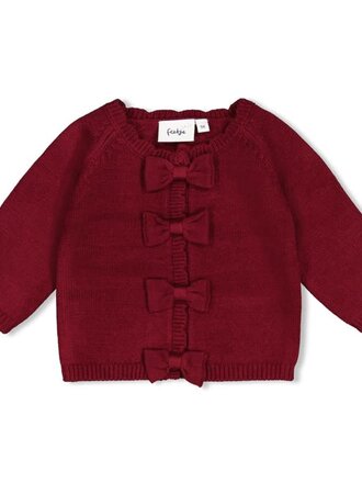 Feetje Feetje - vest bordeaux