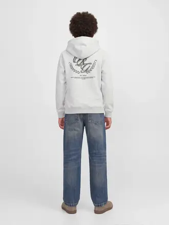 jack&jones JJ - Hoodie FREDERIKSBERG White melange