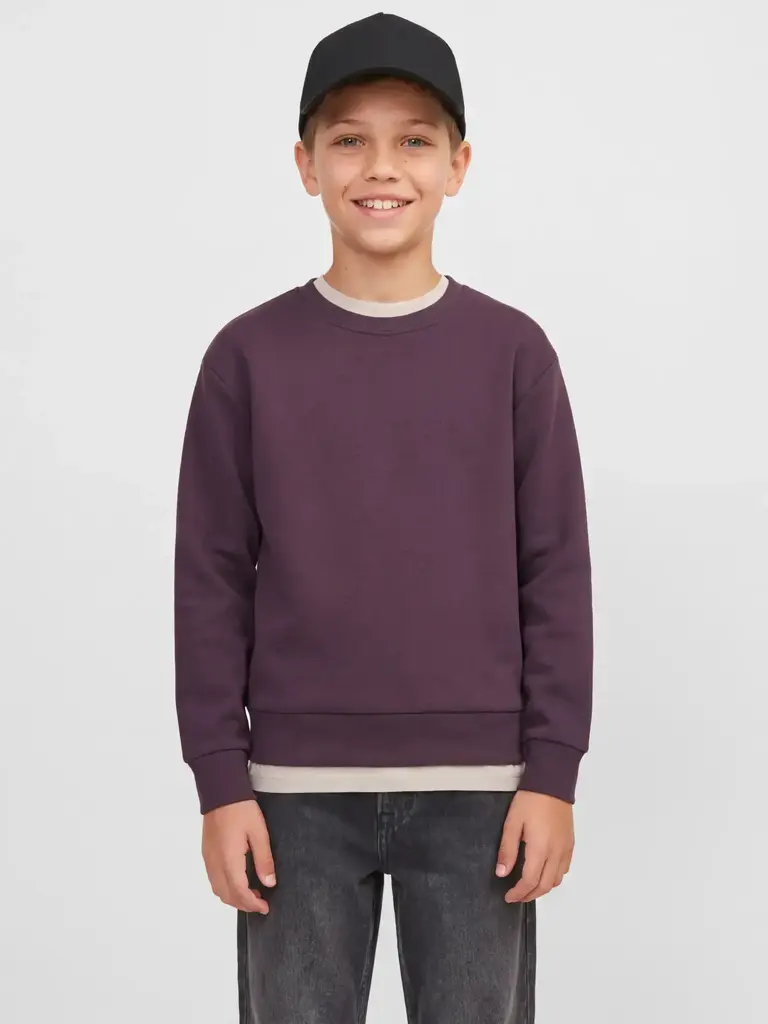 jack&jones JJ - LEGACY SWEAT SUBA  Fudge