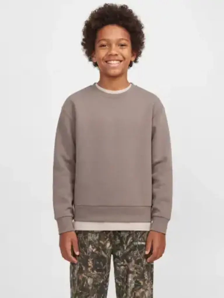 jack&jones JJ - LEGACY SWEAT SUBA  Falcon