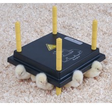 Heating panel for chicks - 25 x 25 cm