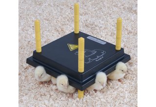 Heating panel for chicks - 25 x 25 cm