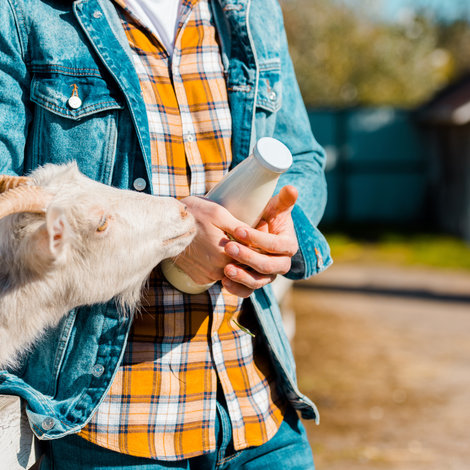 Le Hobby Farming : Qu’est-ce que c’est ?