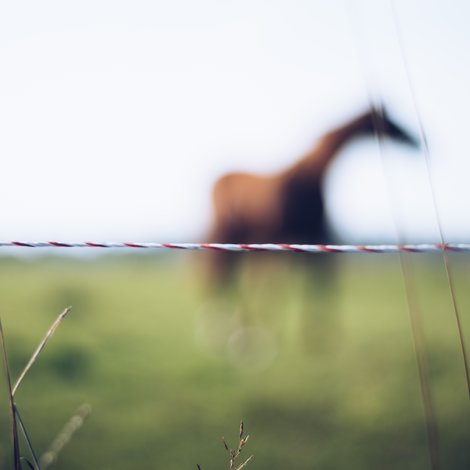 Comment choisir sa clôture ?