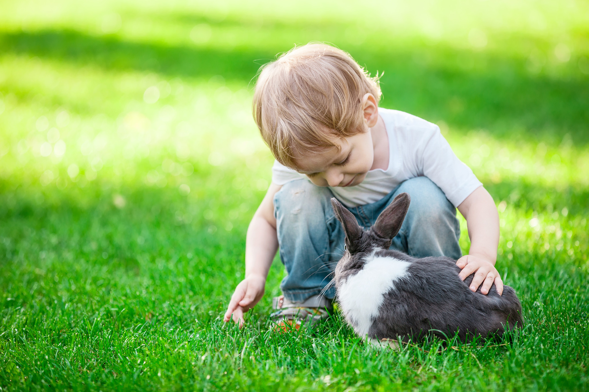 Comment & Pourquoi élever un lapin dans son jardin ?