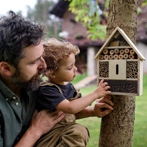 Favoriser la biodiversité dans mon jardin