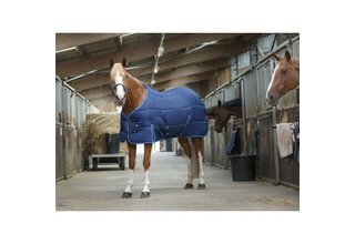 Stable blanket RIDING WORLD navy blue 6'9