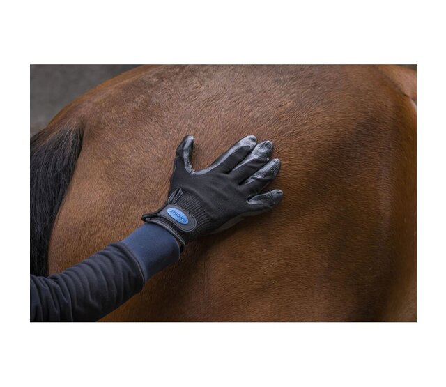 Anti-shedding grooming glove