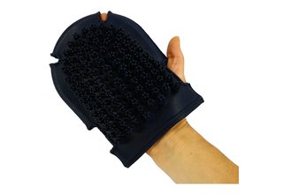 Currycomb and brush glove
