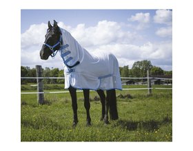 Chemise filet "Combo” blanc et bleu ciel