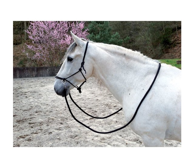 Ethologisch halster met teugels