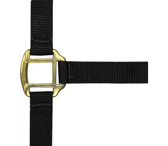 Nylon halter with leather lining for horses