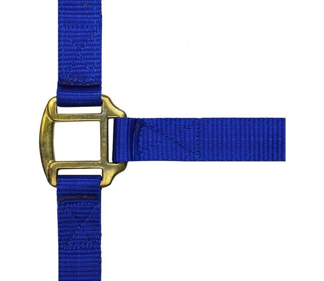 Nylon halter with leather lining for horses