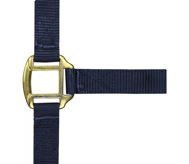Nylon halter with leather lining for thoroughbreds