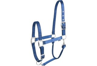 Licol "Eclat" pour cheval