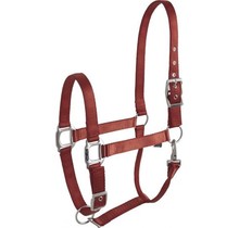 Eclat" halter for horse