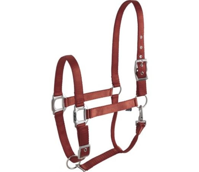 Eclat" halter for horse