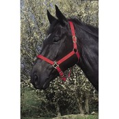 Double thickness halter for thoroughbred Double thickness halter for thoroughbred