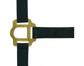 Double thickness halter for horse