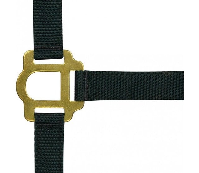 Double thickness halter for horse