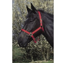 Licol double épaisseur pour cheval