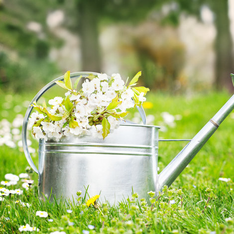 Alternatives to pesticides