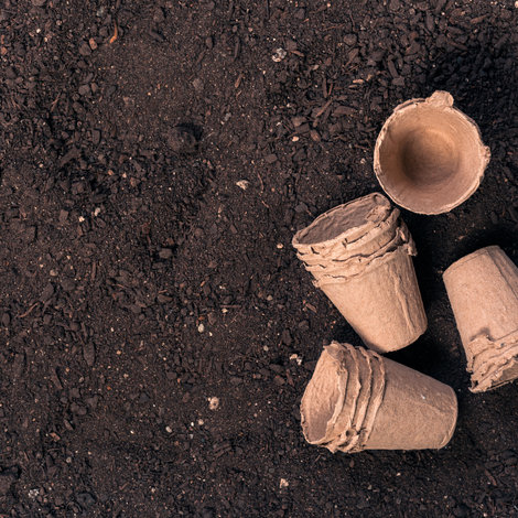 How to recognise a good potting soil