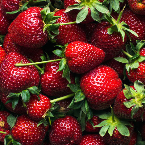 The history of the strawberry