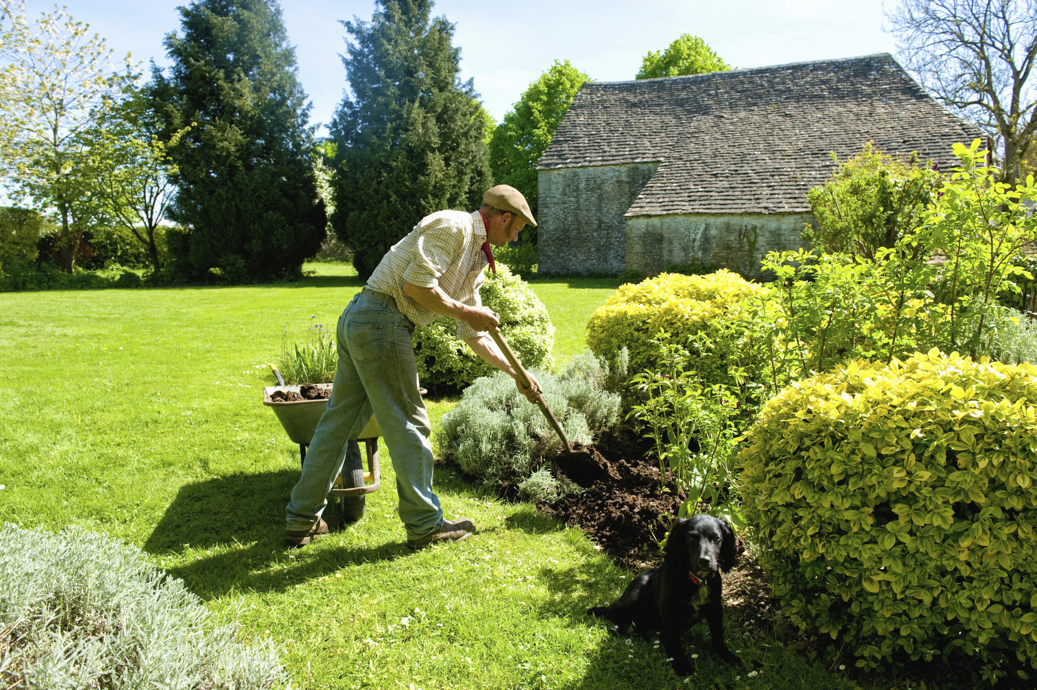 Mulching: the different types and their advantages