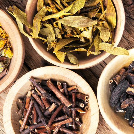Medicinal plants to grow