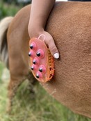 Double-sided currycomb and massage glove