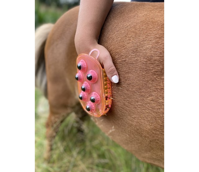 Double-sided currycomb and massage glove