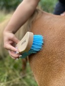 Dandy brush with nylon bristles, large