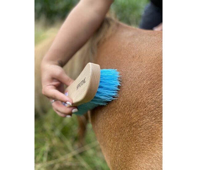 Dandy brush with nylon bristles, large