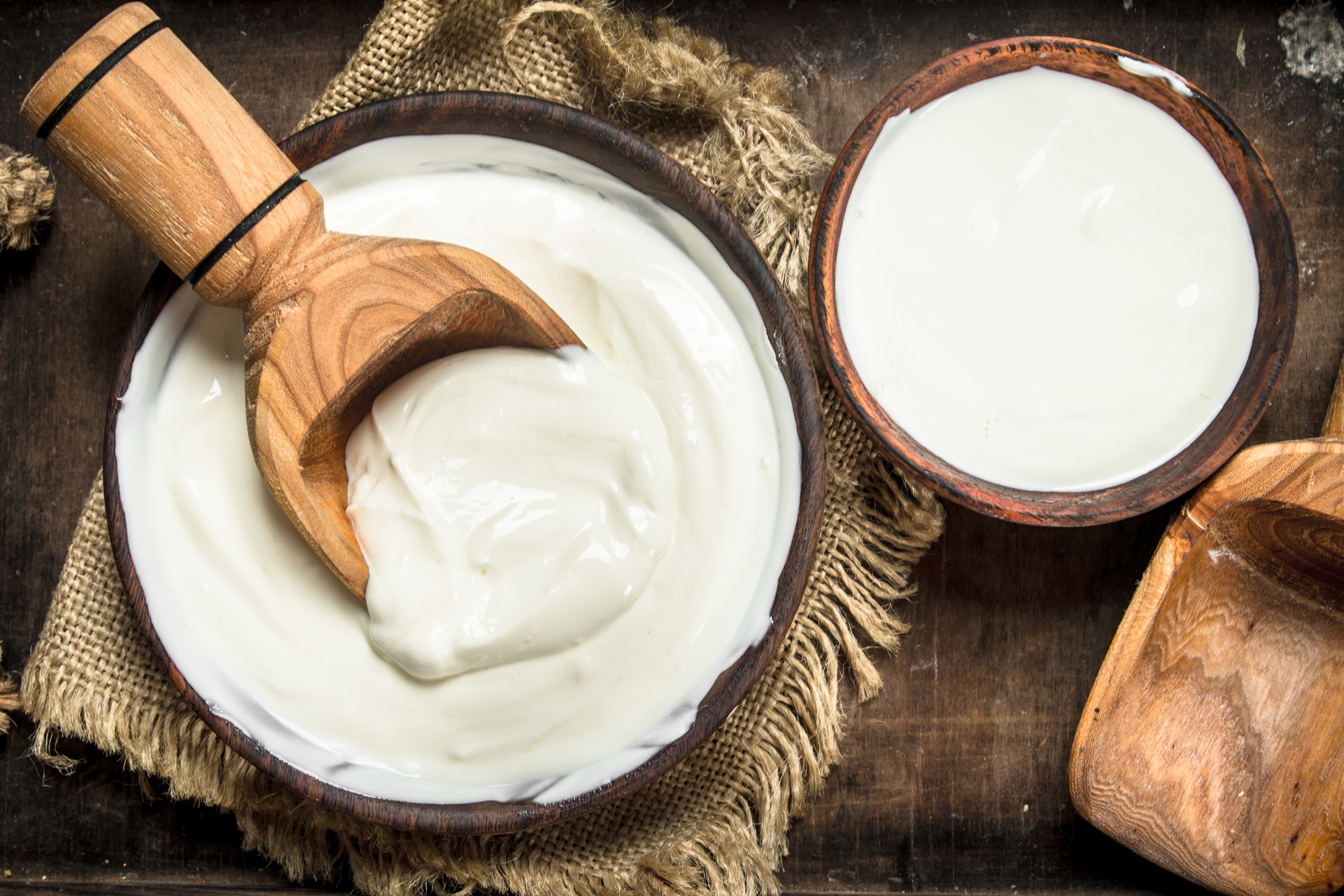 Transformez le lait en produits laitiers : yaourt et beurre