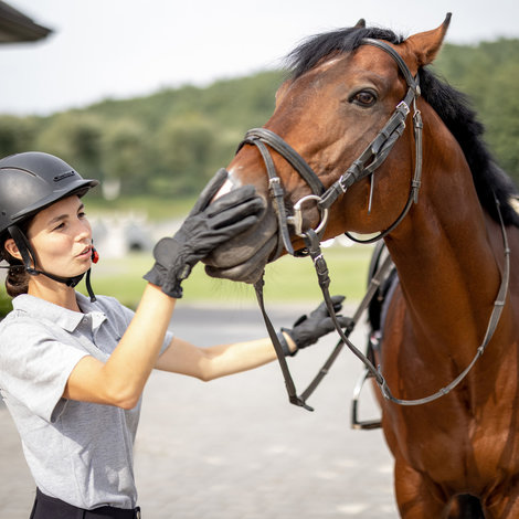 New rider ? New horse? What equipment should I choose?