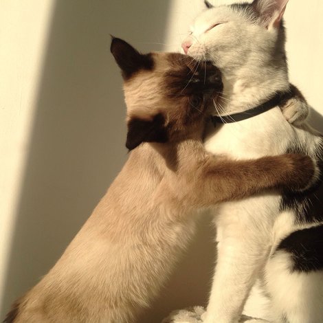 To make your partner fall in love with you: An original idea for a Valentine's Day menu! 